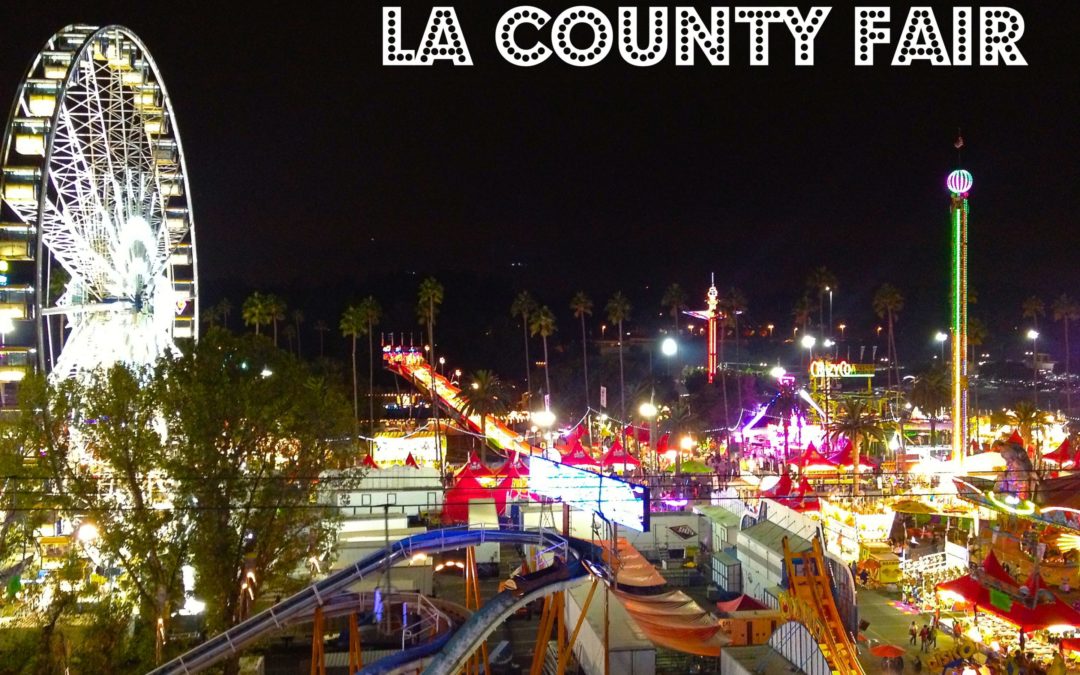 The LA County Fair Tries on Video Games